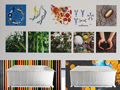 (dng)Ｐ˽MRNAȡ Viral RNA Isolation from Tissue