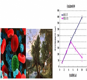 (dng)ＰȫѪDNAȡ Genomic DNA Isolation from Blood