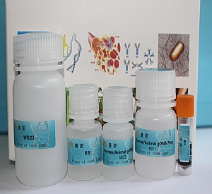 (dng)Ｐ˽MM DNA ȡ Genomic DNA Isolation from Tissue