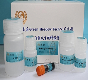ֲMDNAȡ Genomic DNA Isolation from plants